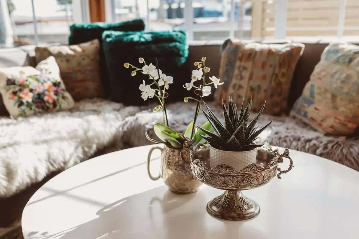 Timata Ora - 7br Family In Prime Location New Plymouth